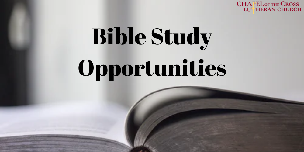 Bible Study Opportunities